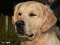 Bild 023DJ_Kopfco
